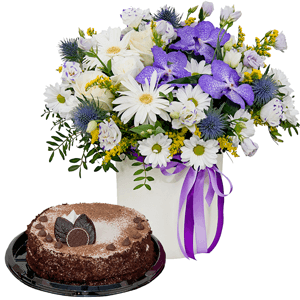 Fluffy cloud with cake with delivery Stavropol