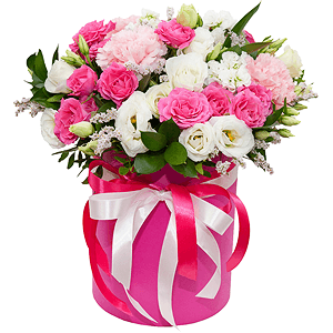 Romantique with delivery Stavropol