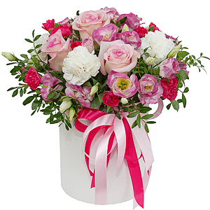 Darling with delivery Stavropol