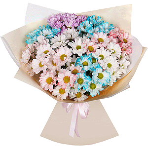 Palette of Joy with delivery Stavropol