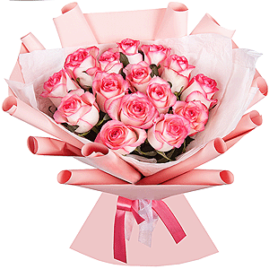 Rose Jumilia 50 cm - 25, Wrapping Paper