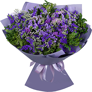 Lilac Dreams with delivery Stavropol