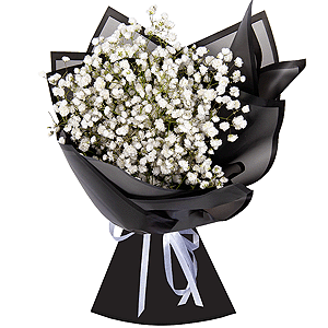 Gypsophila - 7, Wrapping Paper