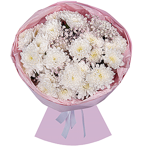 Magical Dreams with delivery Stavropol