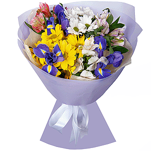 Bacardi White Spray Chrysanthemum - 1, Irises - 5, Alstromeria white, soft pink - 4, Alstromeria Red, Bright Pink - 2, Bacardi Yellow Spray Chrysanthemum - 1, Wrapping Paper