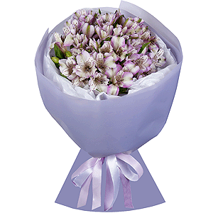 Lilac Dew with delivery Stavropol