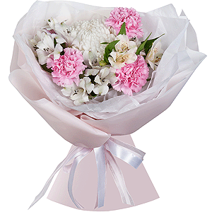 Dawn Freshness with delivery Stavropol
