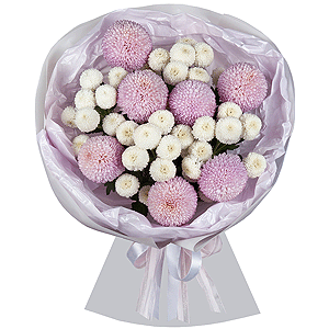 Lavender Cappuccino with delivery Stavropol