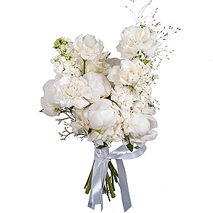 Light of Love with delivery Stavropol