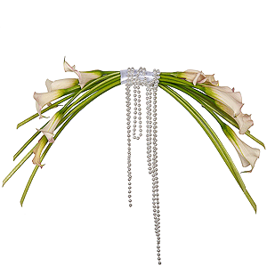 Calla lilies - 15, Ribbon