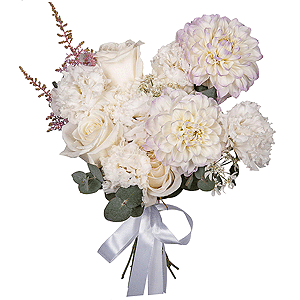 Swan Tenderness with delivery Stavropol