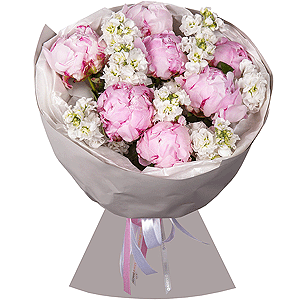 Peony pink - 7, White Matthiola - 13, Wrapping Paper