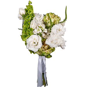 Constellation of Love with delivery Stavropol