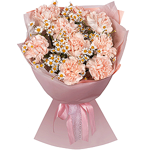 Chamomile Tenderness with delivery Stavropol