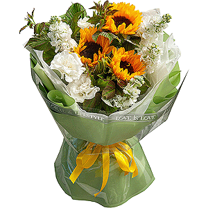 Sunflower - 3, White Matthiola - 6, lisianthus - 2,  Raspberry branch, Wrapping Paper