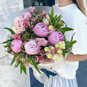 Peony Gloss with delivery Stavropol