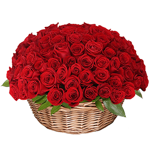Red rose 50 cm - 131, Large Basket, Oasis