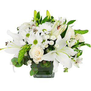 Purity of the senses with delivery Stavropol
