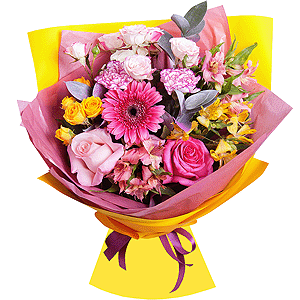Fusion with delivery Stavropol