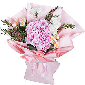 Pink lady with delivery Stavropol