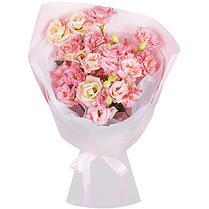 Flower Dreams with delivery Stavropol
