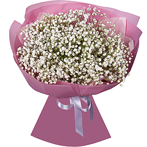 My star with delivery Stavropol