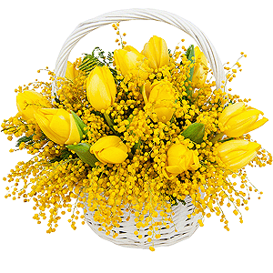 My sunshine with delivery Stavropol
