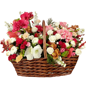 The Magnificent with delivery Stavropol