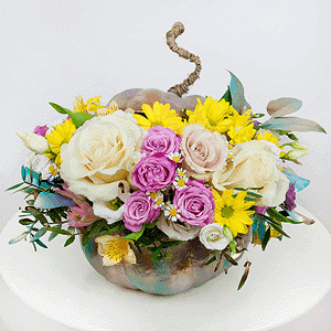 Trick or treat with delivery Stavropol