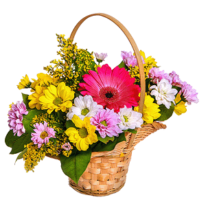 Сorporative present with delivery Stavropol