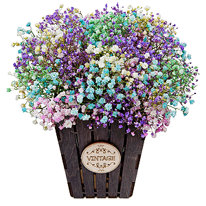 Candy with delivery Stavropol