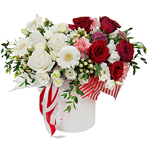 Mon amour with delivery Stavropol
