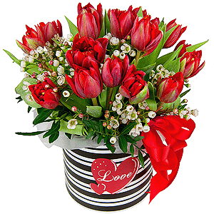 Red tulip - 31, Round flower box small , Oasis, Pistachio, Waxflower (1 pc.), Wrapping Paper, Ribbon