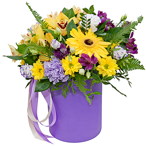 Sunbeams with delivery Stavropol