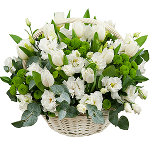 Snowdrops with delivery Stavropol