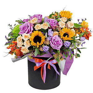 Majestic with delivery Stavropol
