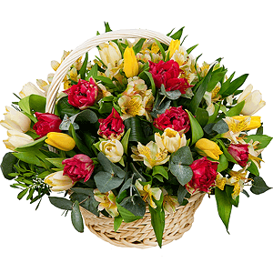 Spring swallow with delivery Stavropol