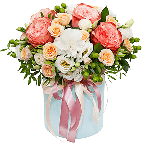 Aquarelle with delivery Stavropol