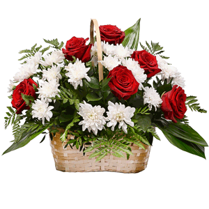 Revival with delivery Stavropol
