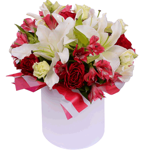 White lilies in a hatbox with delivery Stavropol