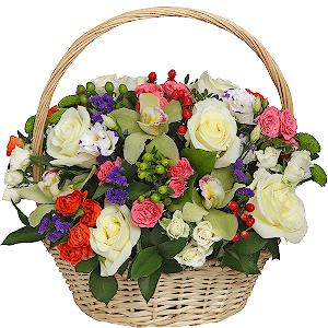 Versailles with delivery Stavropol