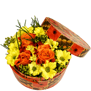 Sun Ray with delivery Stavropol