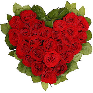 Red rose 50 cm - 41, Oasis Heart shape (40x40 cm), Salal