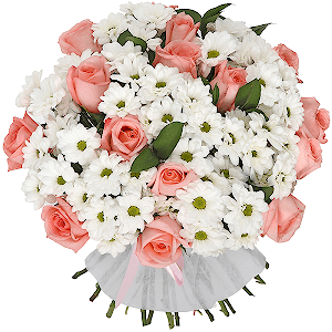 Provence Aroma Luxe with delivery Stavropol