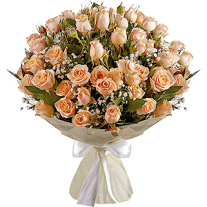Wonderful Start VIP with delivery Stavropol