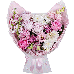 For My Kitty with delivery Stavropol