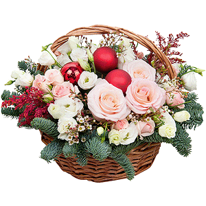 Frosted rose with delivery Stavropol