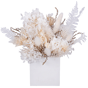 Snow lace with delivery Stavropol