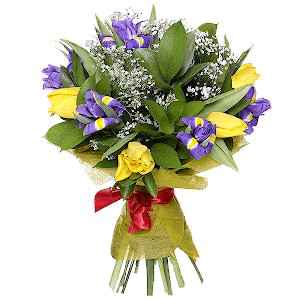 Vivid Memory with delivery Stavropol