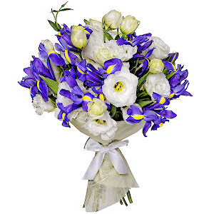 Sea Motive Luxe with delivery Stavropol